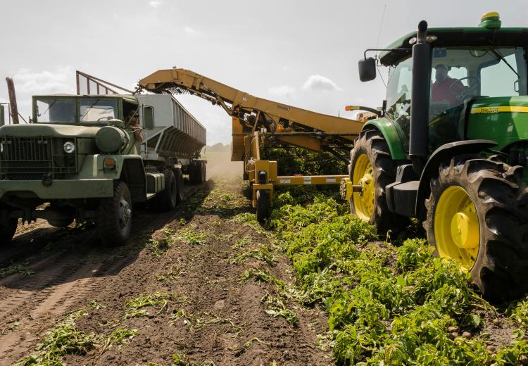 Agricultura